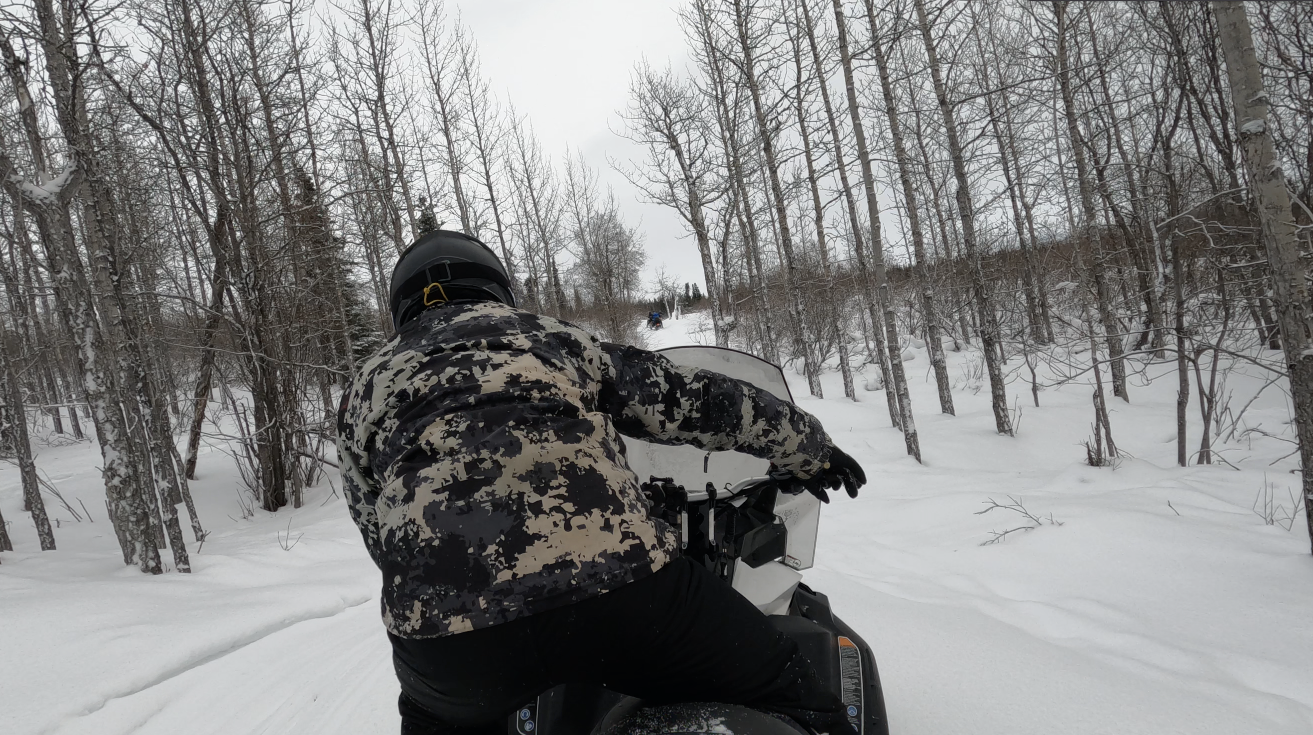 person snowmobiles through skinny tree forest in Alaska