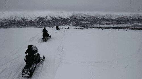 a line of snowmobilers heads into the Talkeetna Mountains on a snowy day